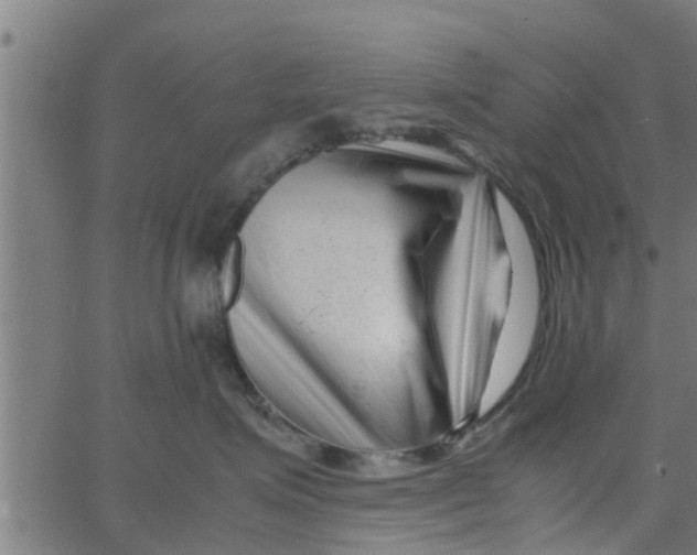 X0000066100623200603312027