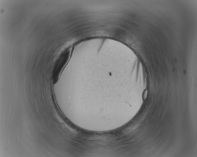 X0000066100625200603312026