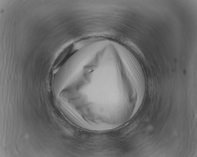 X0000066100628200603312026