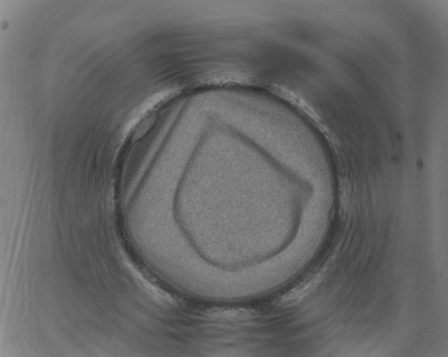 X0000066100629200603312026