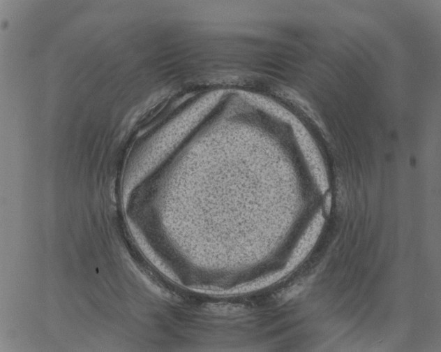 X0000066100633200603312026