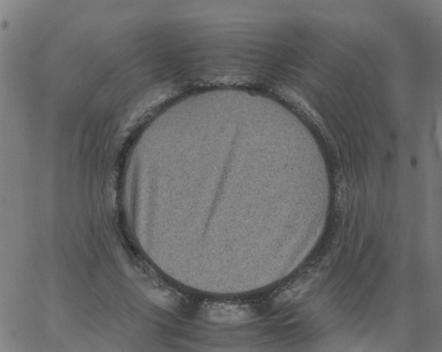 X0000066100635200603312026