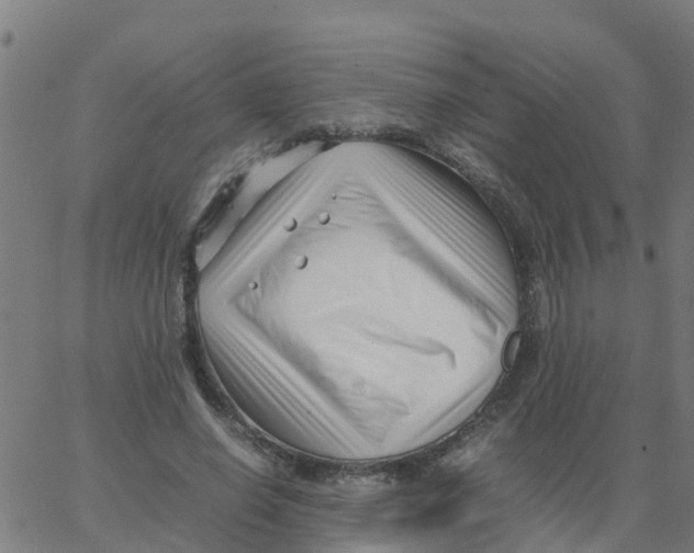 X0000066100638200603312026