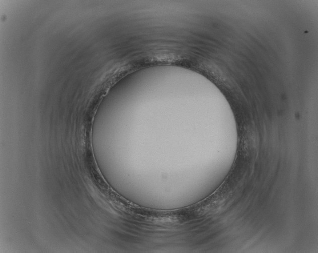 X0000066100639200603312026