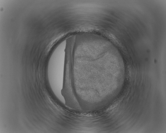 X0000066100640200603312026