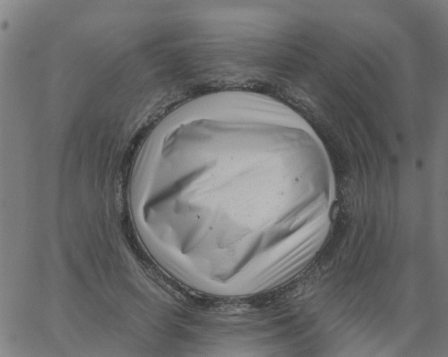 X0000066100642200603312026