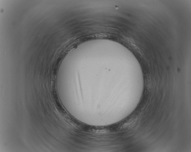 X0000066100645200603312026