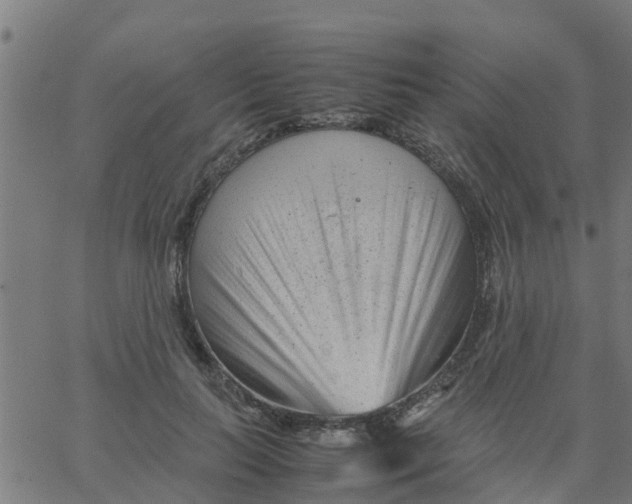 X0000066100647200603312026