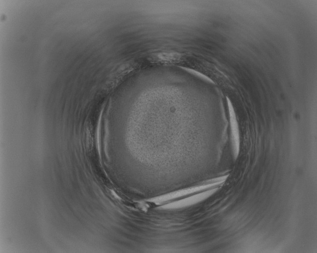 X0000066100651200603312026