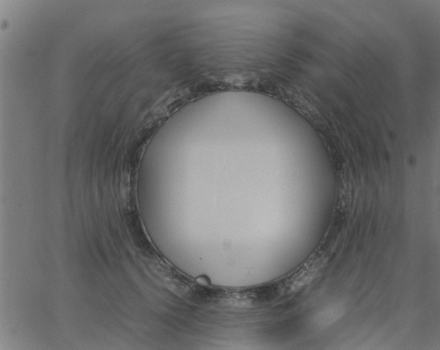 X0000066100656200603312026