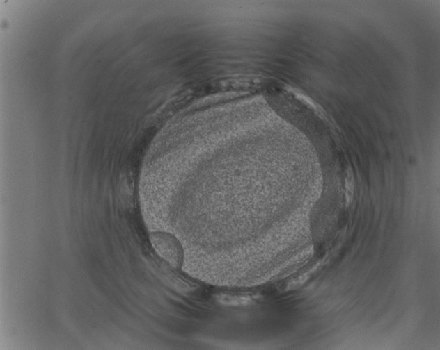 X0000066100661200603312026