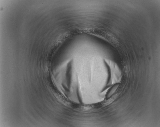 X0000066100662200603312026