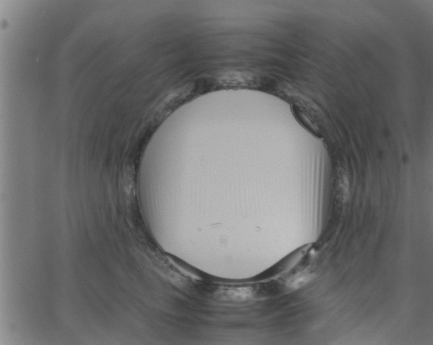 X0000066100665200603312026