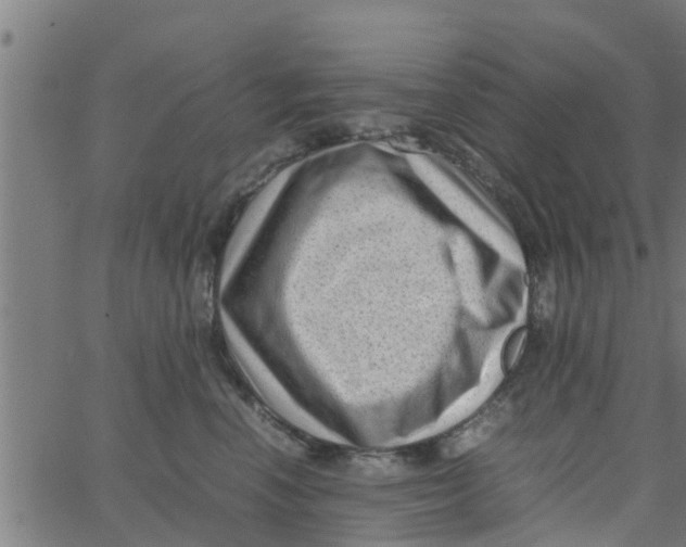 X0000066100666200603312026