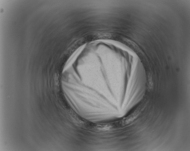 X0000066100667200603312026