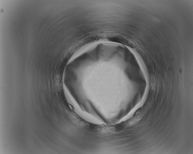 X0000066100670200603312026