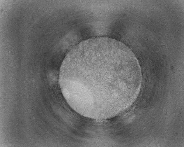 X0000066100672200603312027