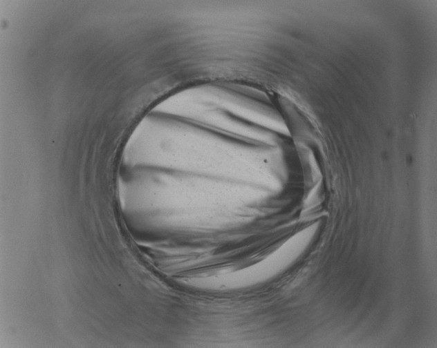 X0000066100673200603312026