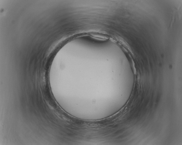 X0000066100676200603312026