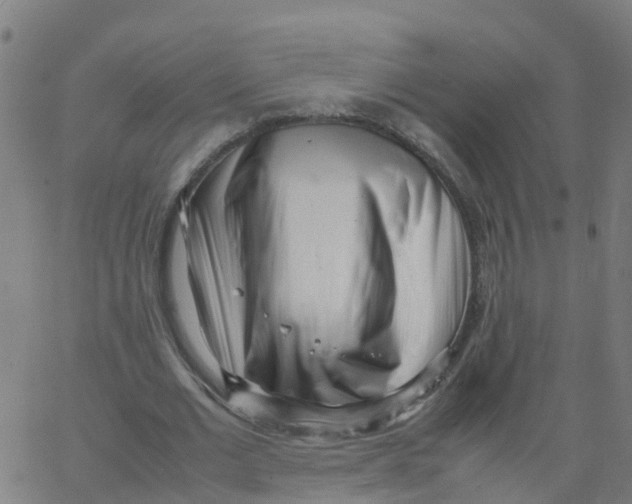 X0000066100677200603312026