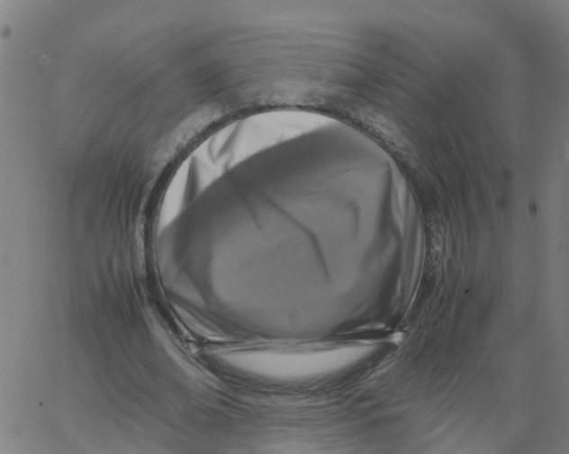 X0000066100678200603312026