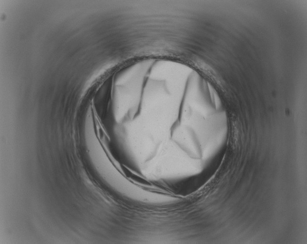 X0000066100680200603312026