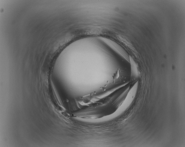 X0000066100681200603312026