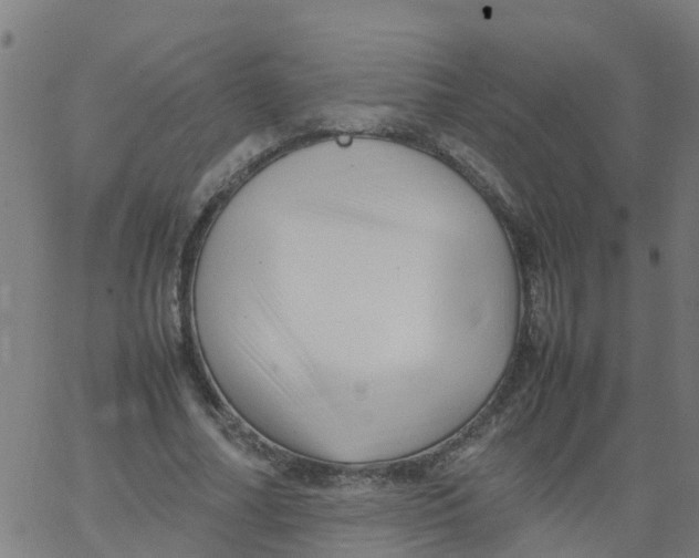 X0000066100682200603312026