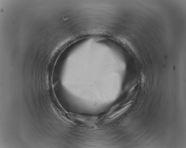 X0000066100684200603312026