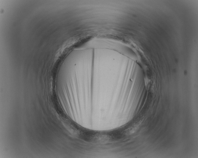 X0000066100685200603312026