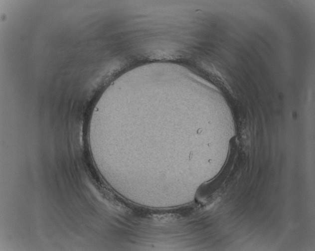 X0000066100686200603312026