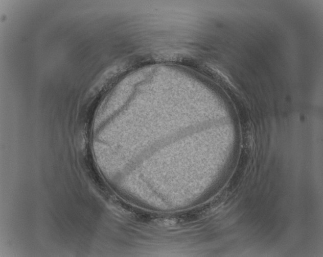 X0000066100687200603312026