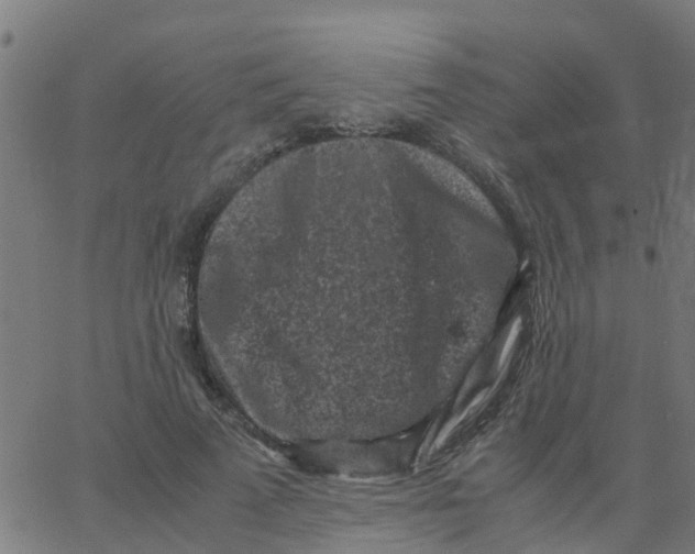 X0000066100689200603312025