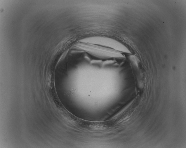 X0000066100693200603312025