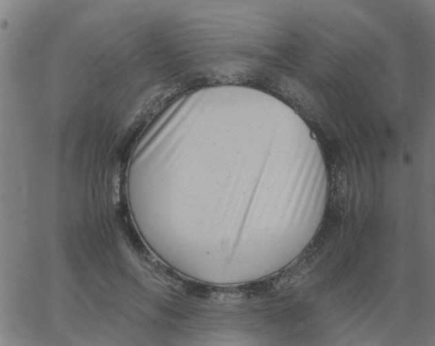 X0000066100694200603312025