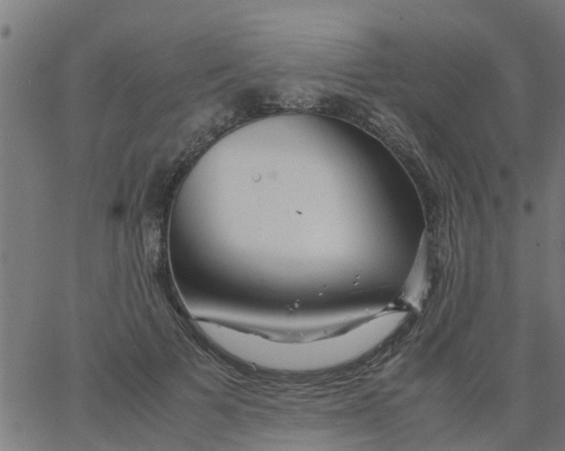 X0000066100697200603312025