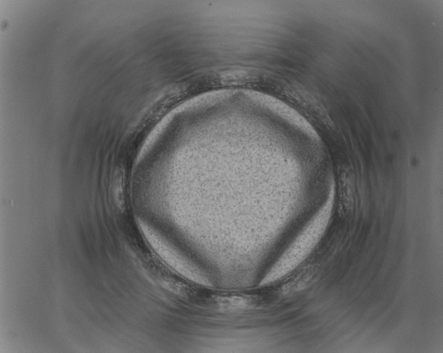 X0000066100698200603312025