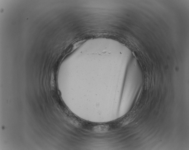 X0000066100700200603312025