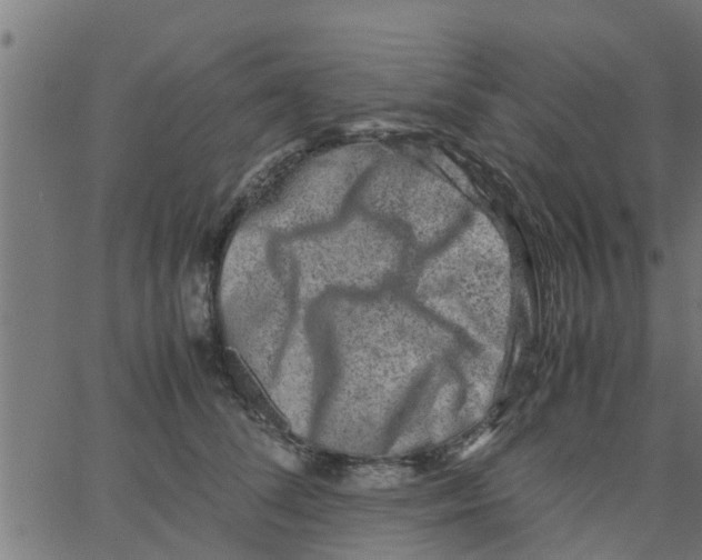 X0000066100708200603312025