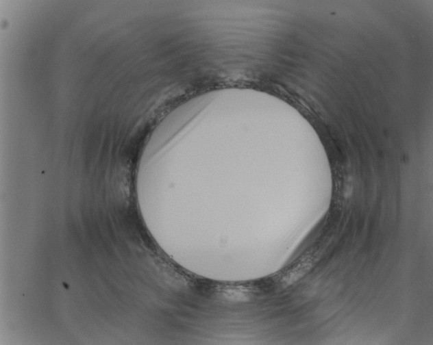 X0000066100710200603312025