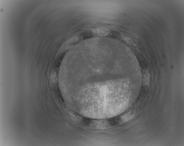 X0000066100713200603312025