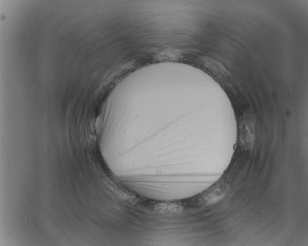 X0000066100714200603312025