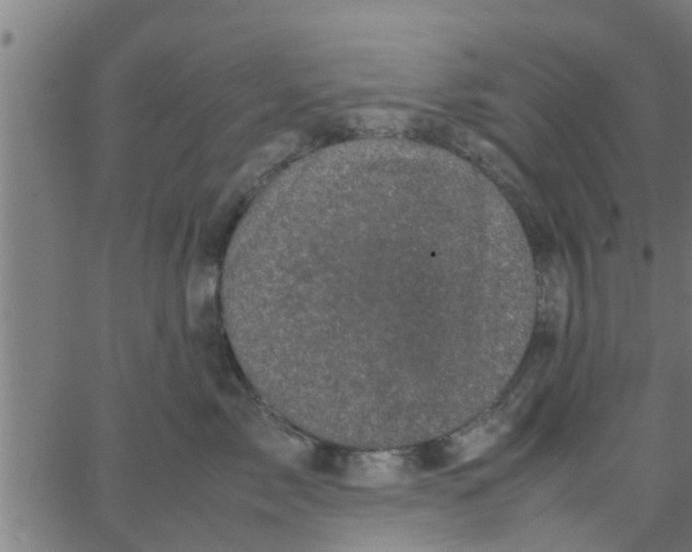 X0000066100717200603312025