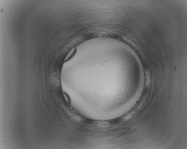 X0000066100719200603312025