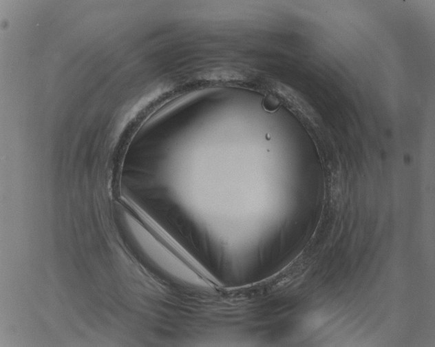 X0000066100727200603312024