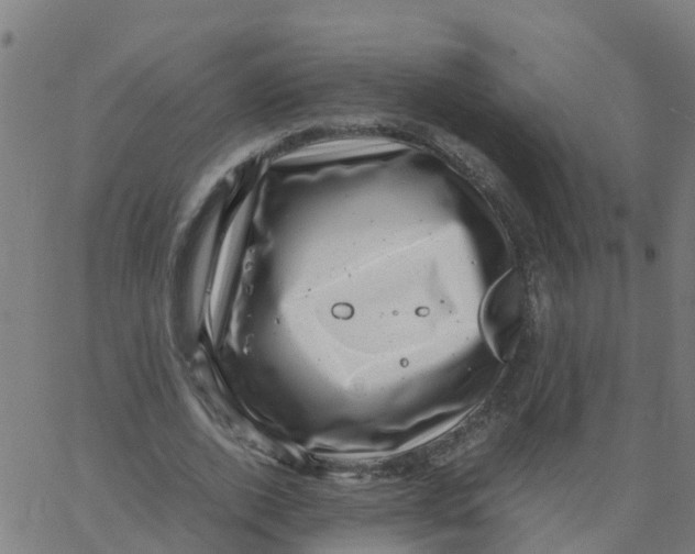 X0000066100728200603312024