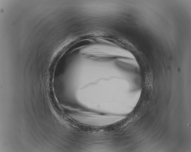 X0000066100730200603312024