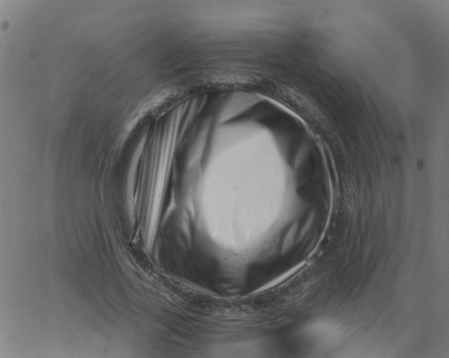 X0000066100731200603312024