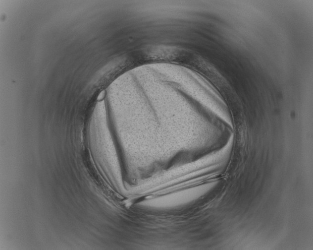 X0000066100733200603312024