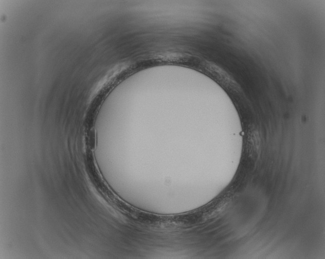 X0000066100734200603312024